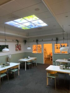 Europaljus - Ett rum med bord och stolar och en ledlampa som ser ut som takfönster för belysning.