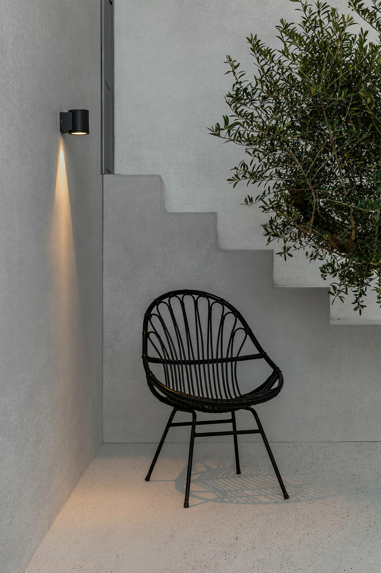 TOND 1L Dark - Bild 2