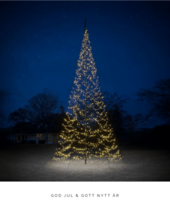 Europaljus - En julgran med ljus mitt i natten