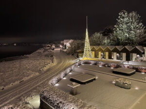 Europaljus - Ett snötäckt område med en julgran upplyst av ljusgransbelysning